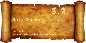 Baig Norbert névjegykártya